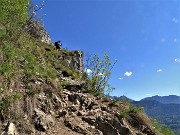 Monte Barro ad anello ‘fiorito’ da Galbiate-17apr23 - FOTOGALLERY